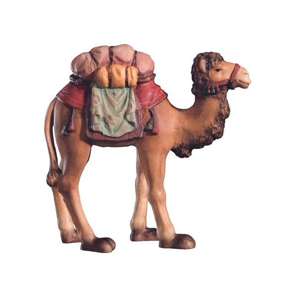 Camel with Luggage Raffaello