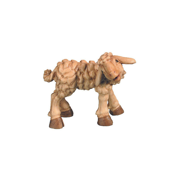 Lamb lean Raffaello